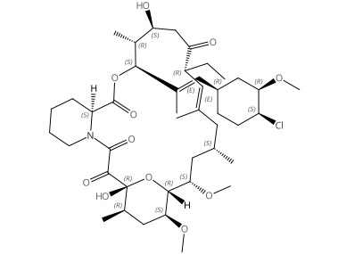 pine-1